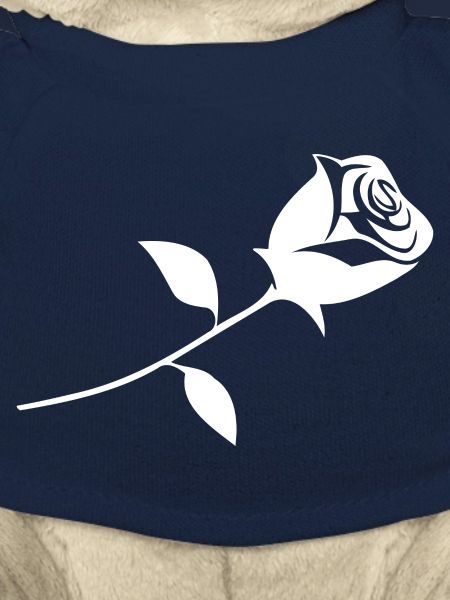 Une rose