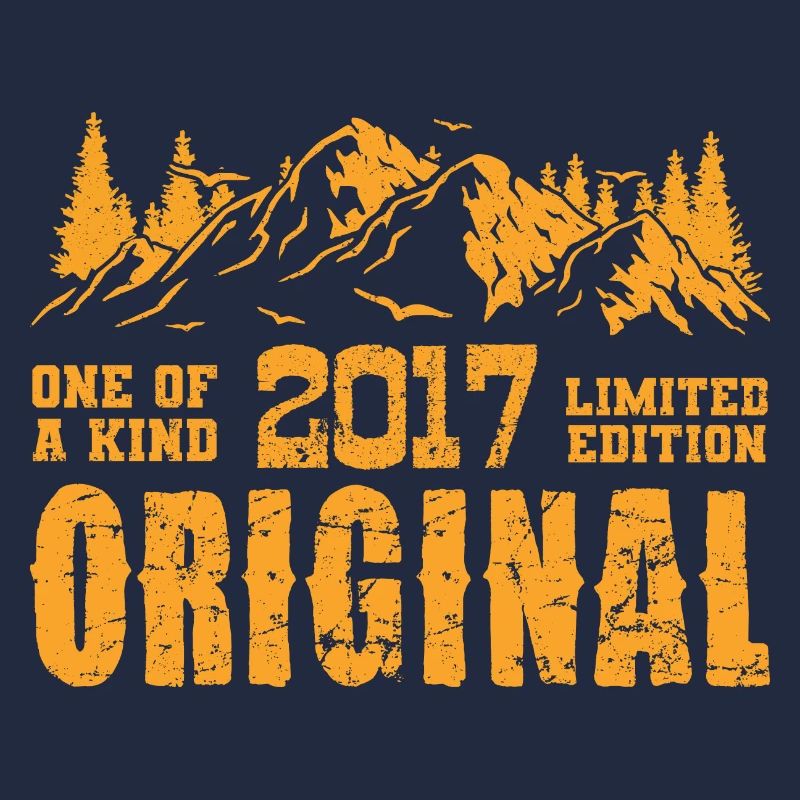 Birthday gift 2017 - 2017