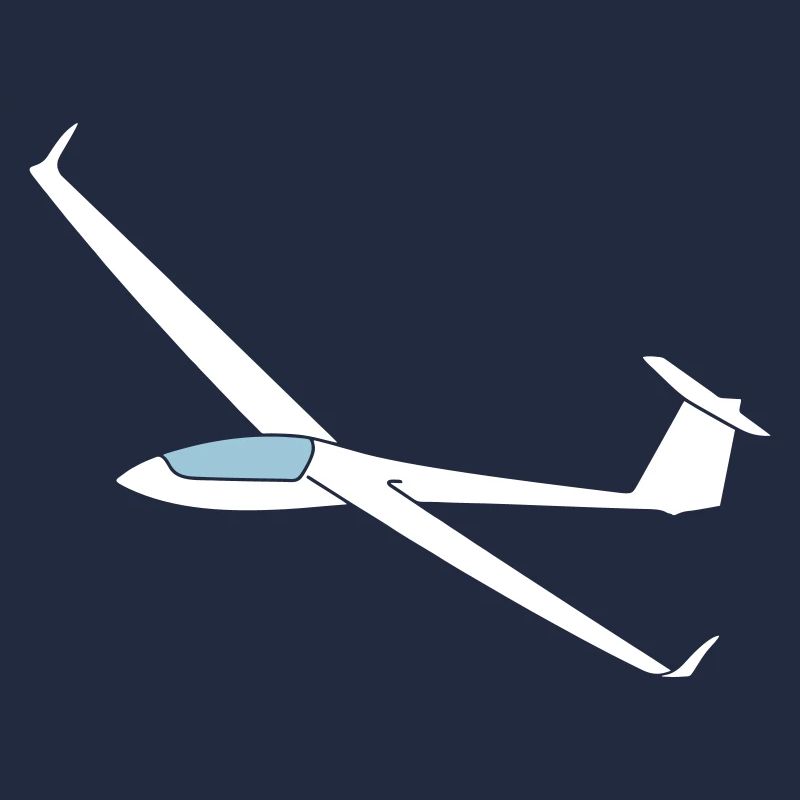 ls8neo glide pilot glider glider