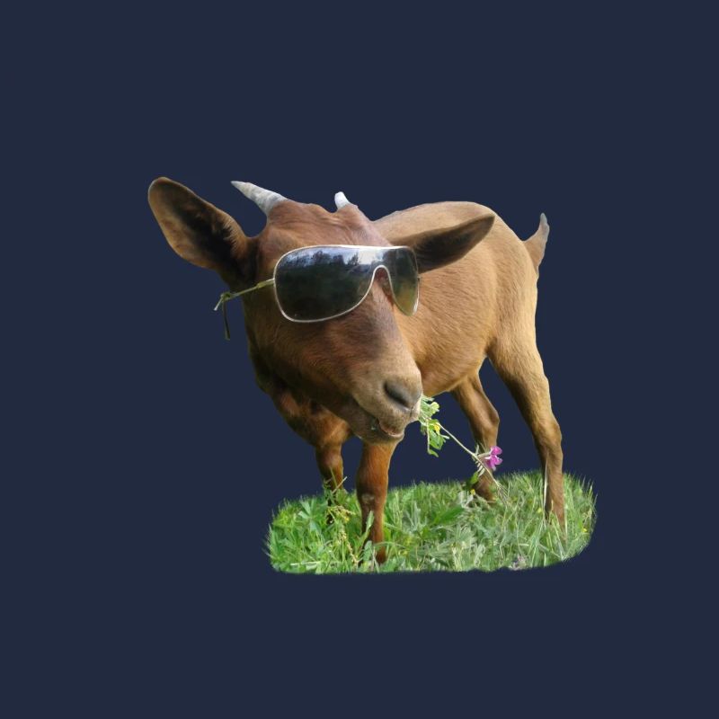 Ziege mit Brille