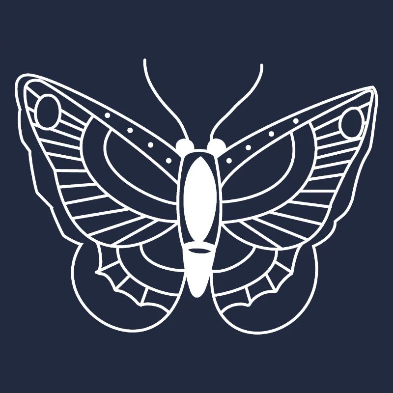 Butterfly Spring Insect