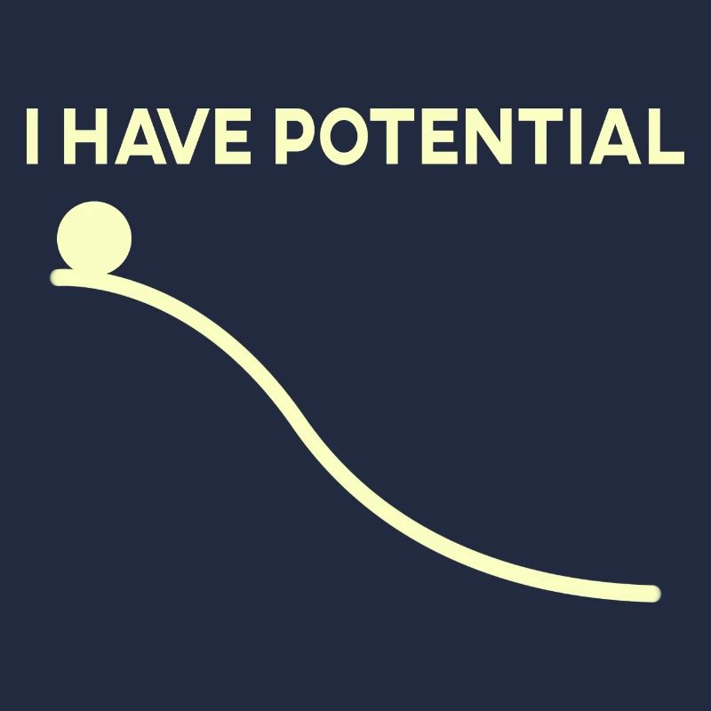 potential energy physicist physics joke gift