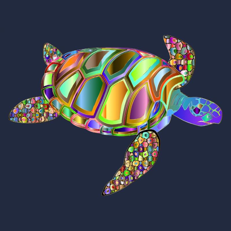 turtle / RAINBOW TURTLE