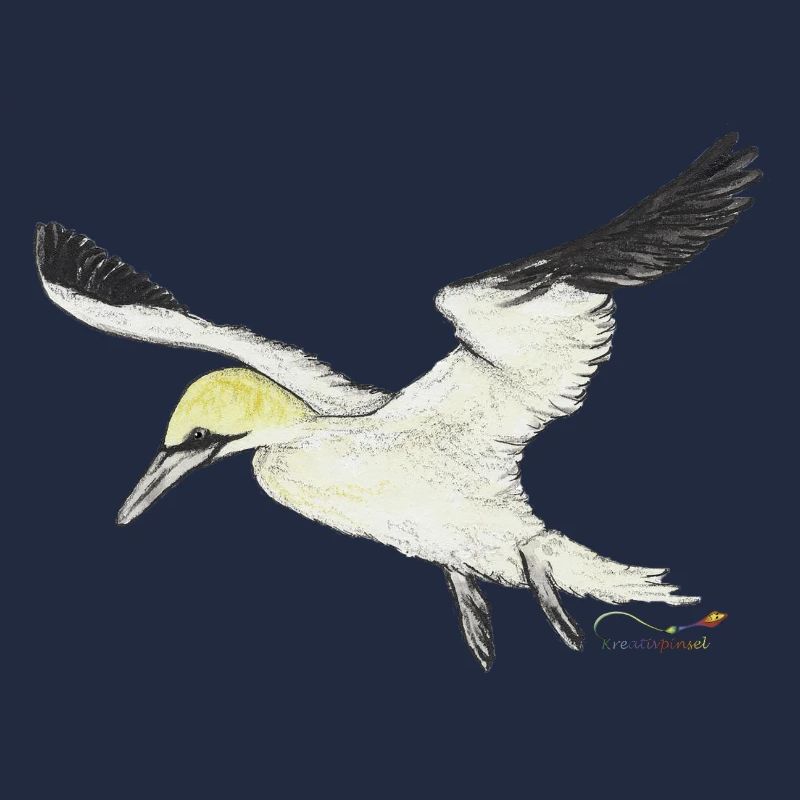 Basstölpel, ein Seevogel