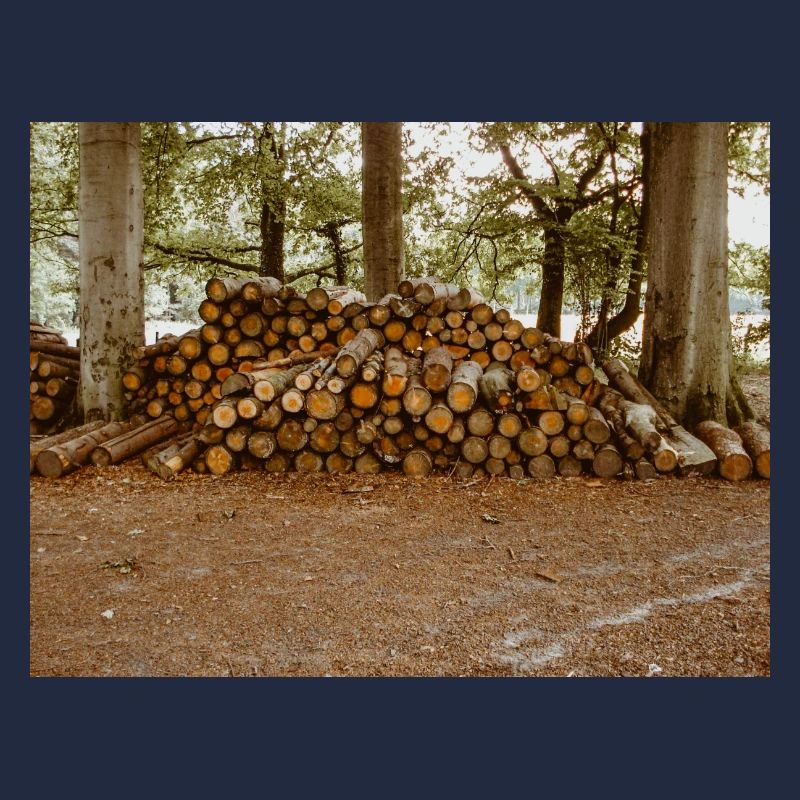 Holz im Wald