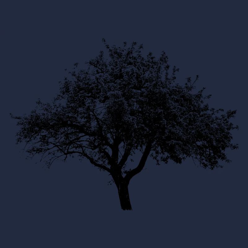 Mon ami l’arbre