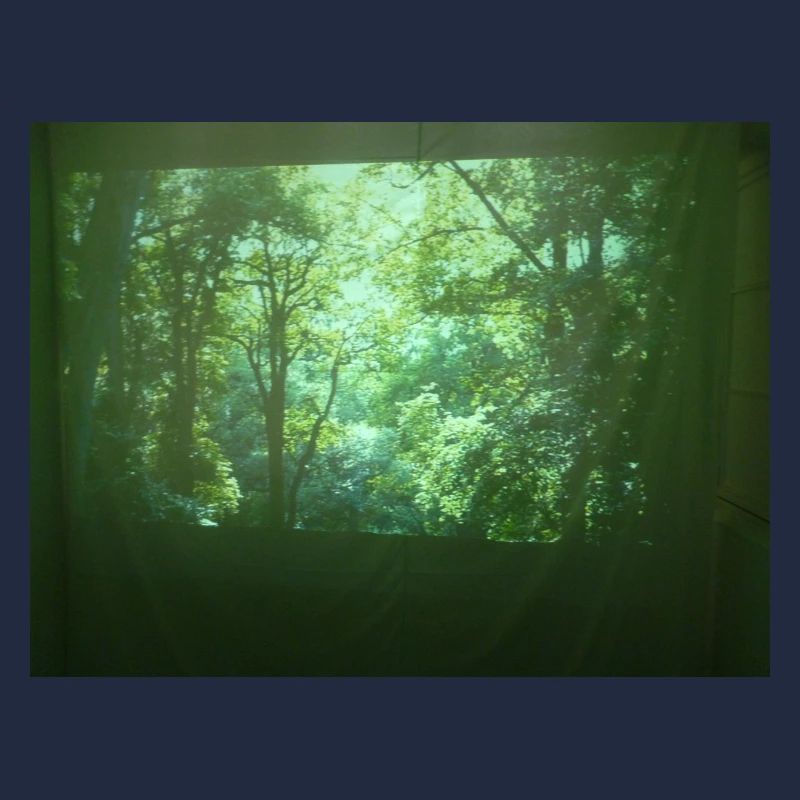 Wald