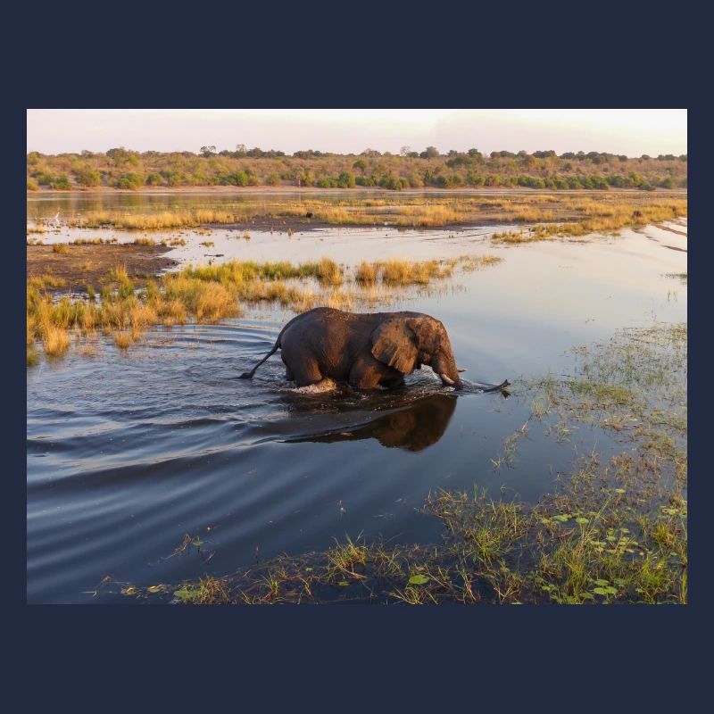 Elefanten am Wasser in Namibia Afrika