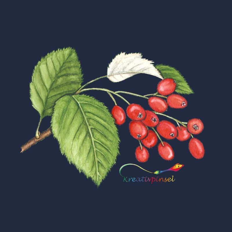 Mûre (Sorbus aria)