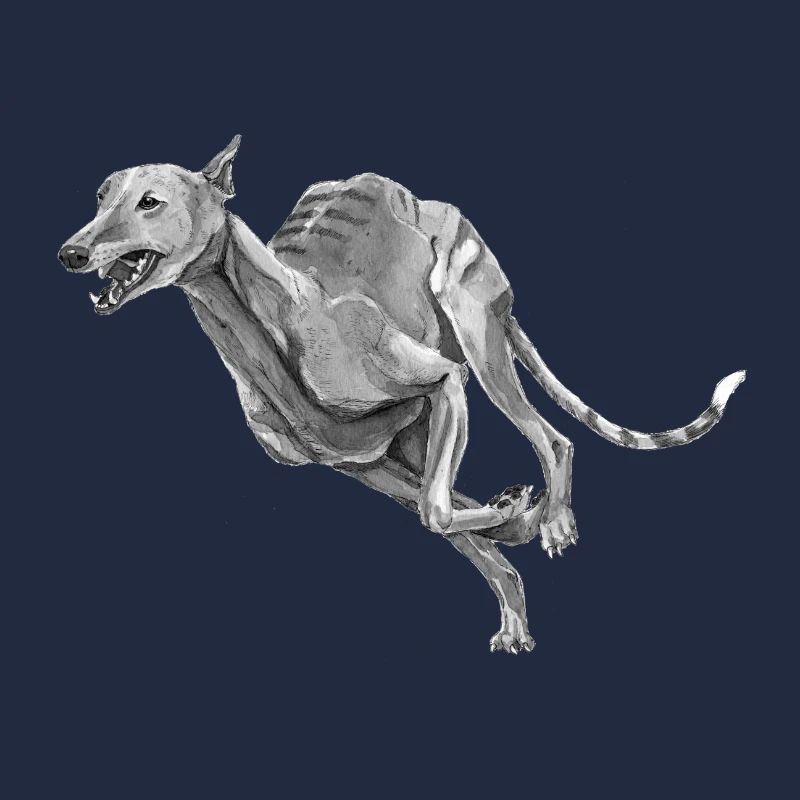 Windhund