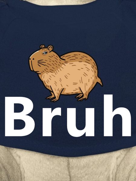 Bruh Capybara
