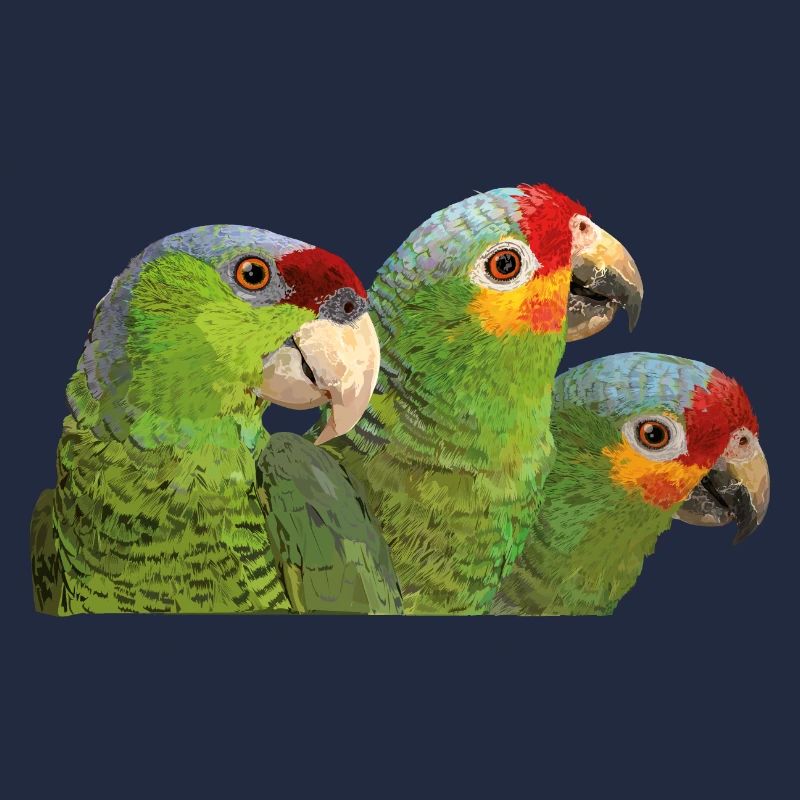 Rotfrontiger Amazonas und lila gekrönter Papagei