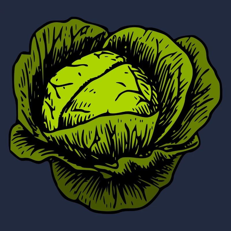 cabbage red cabbage white cabbage cabbage kale veggie gemuese