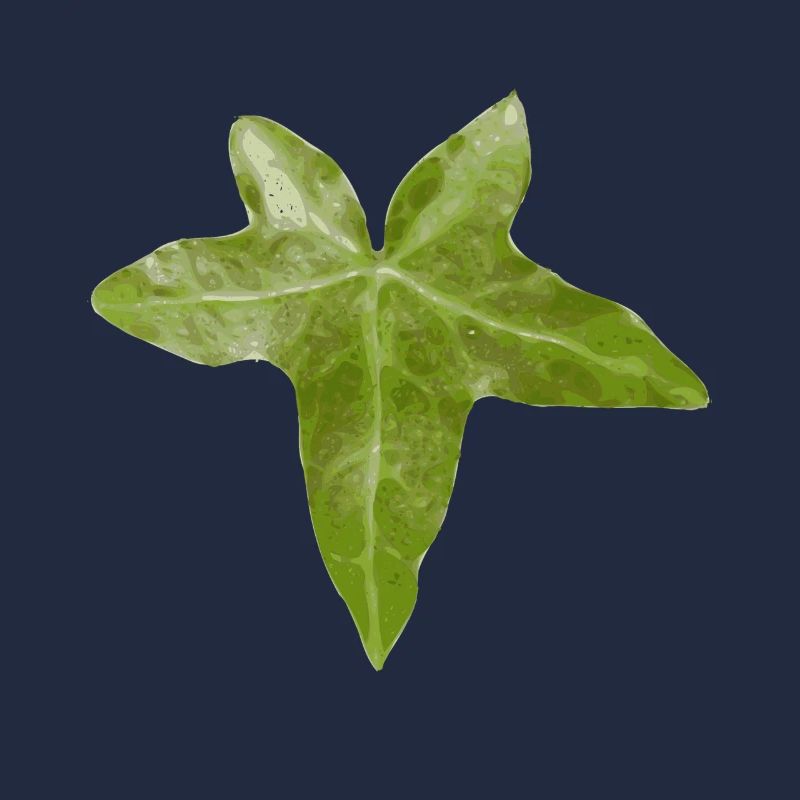 efeu blatt
