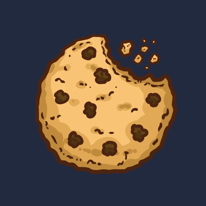 Cookies biscuits chocolate biscuits gift