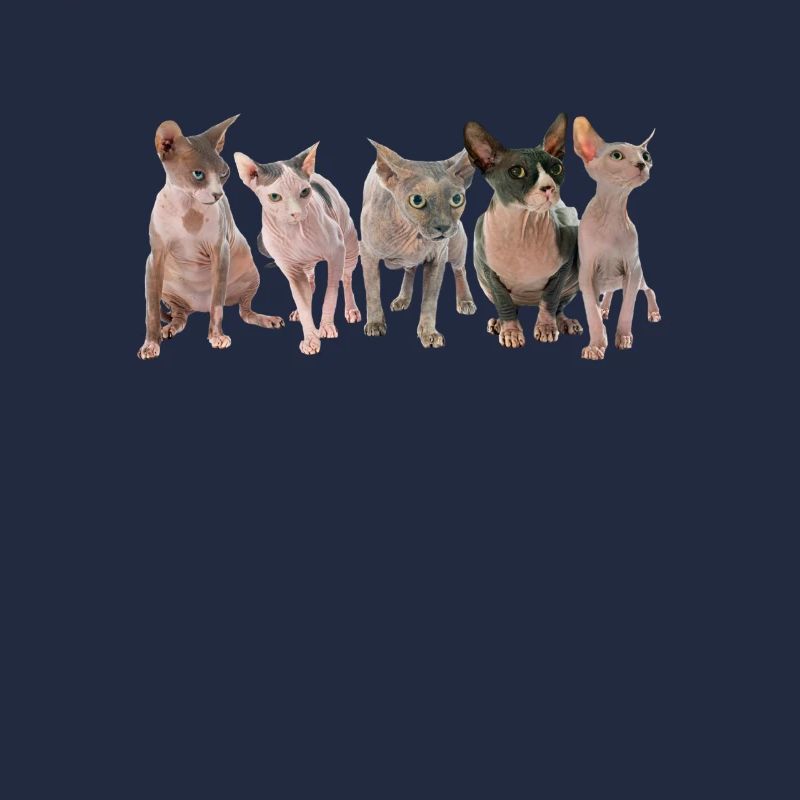 Sphinx Chats