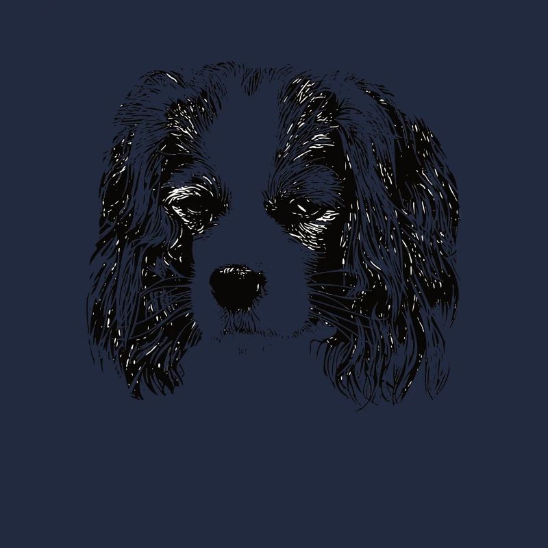 cavalier roi Charles Spaniel