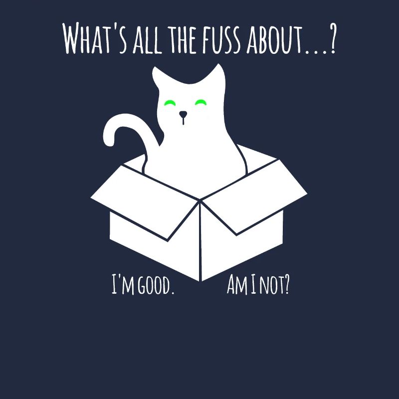 Schroedinger Katze - Experiment mit der Box