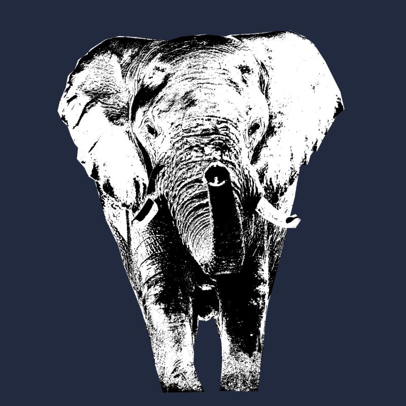 Elefant1