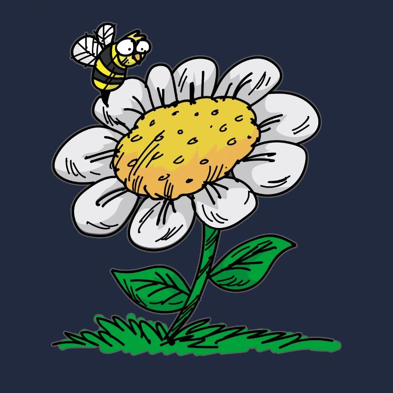 Gänseblümchen Biene Margerite Maßliebchen