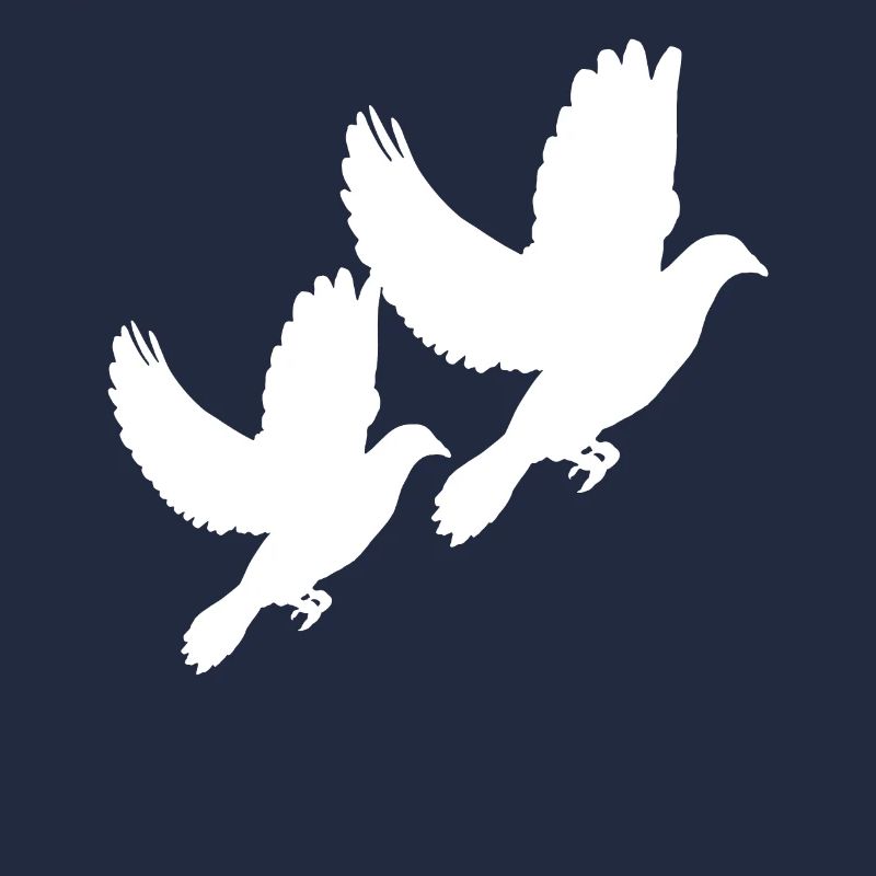 colombe