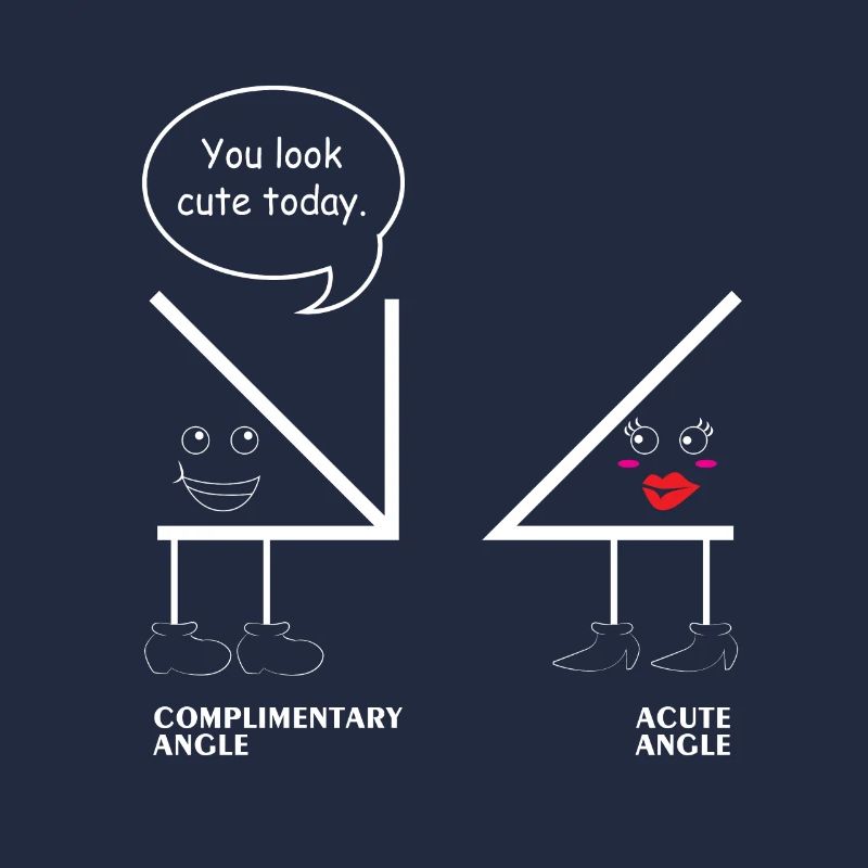Math Teacher Shirt School Angle Math Joke