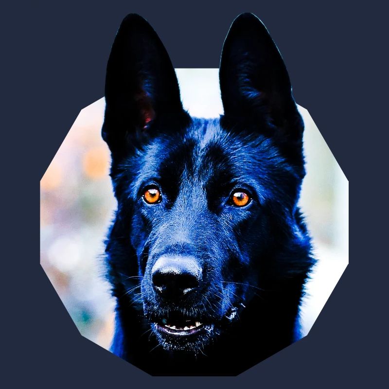 Schäferhund