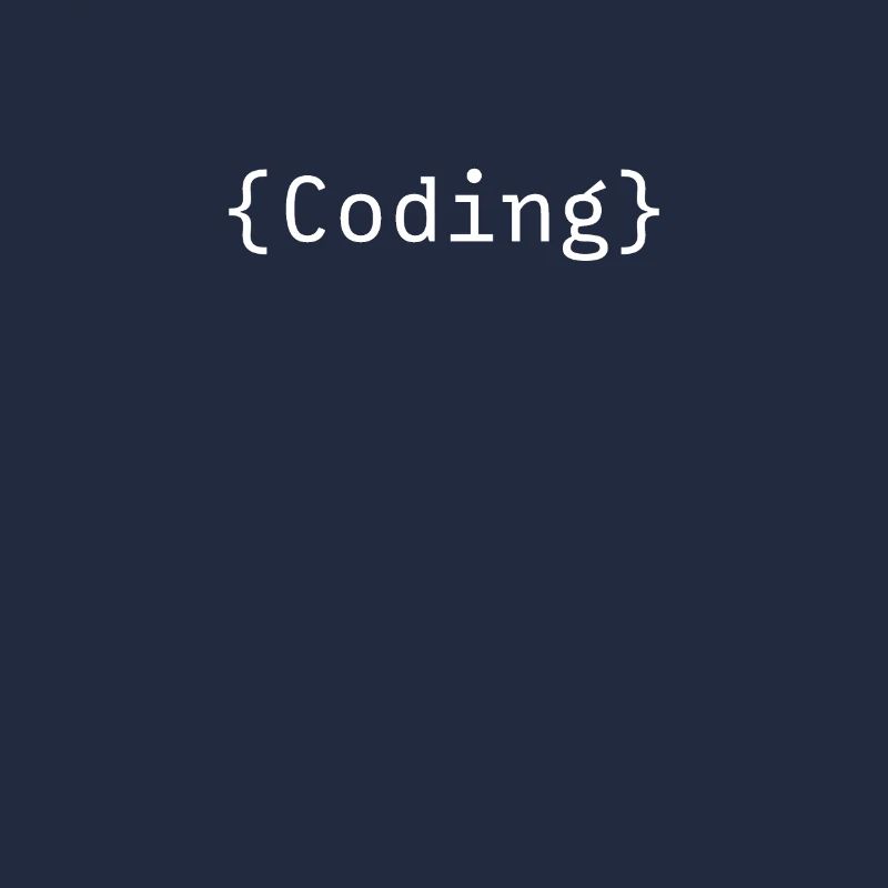 Programmer
