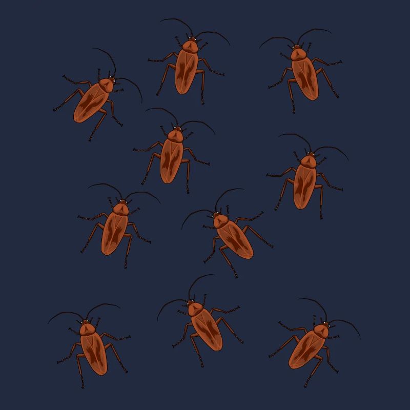 Cafard cafard insecte