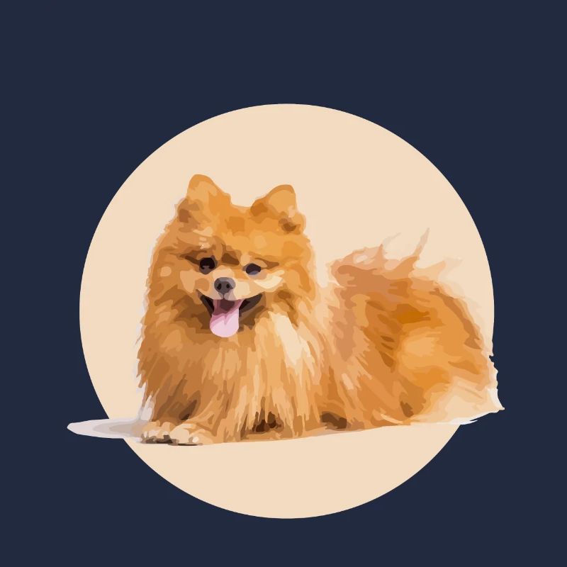 Spitz Rouge