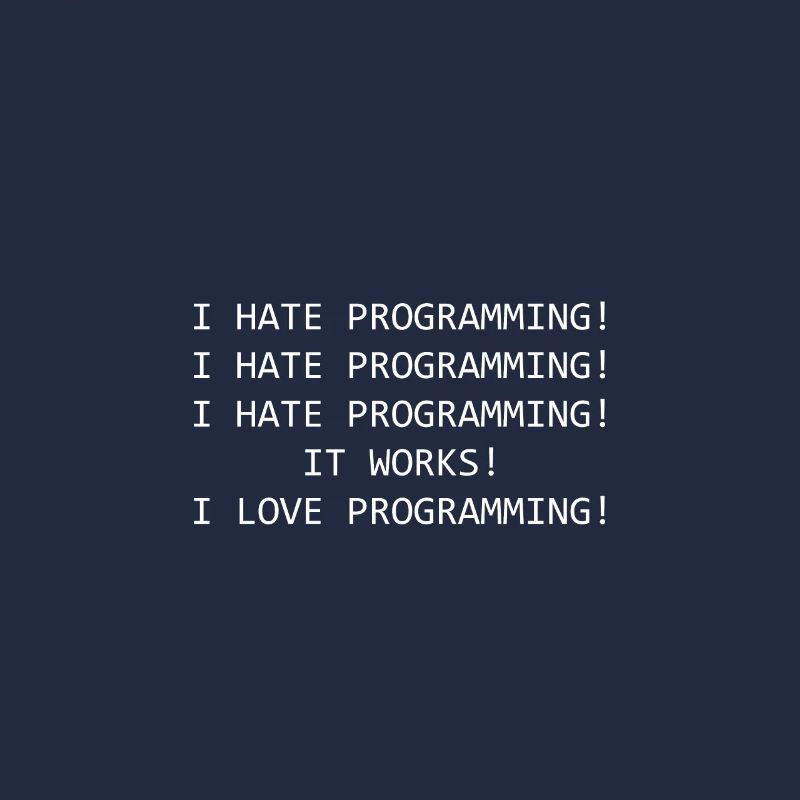 Funny saying Programming Computer Scientist Coder