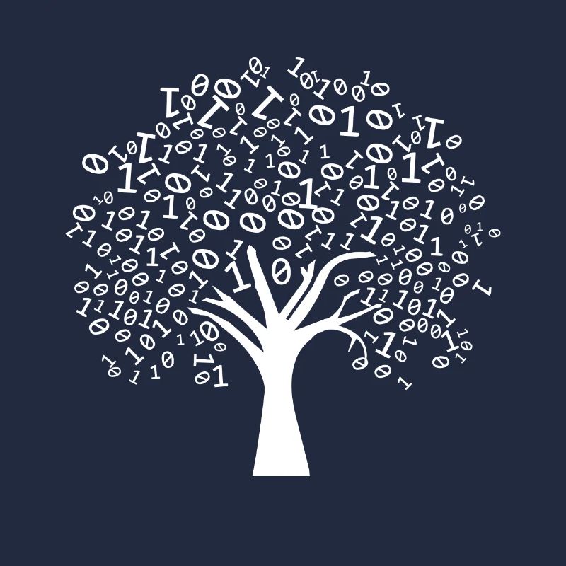 Programmierer Binärer Baum