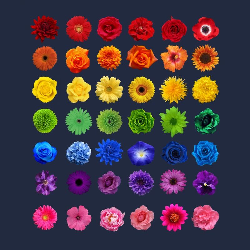 Fleurs fleurs fleurs fleurs de printemps cadeau
