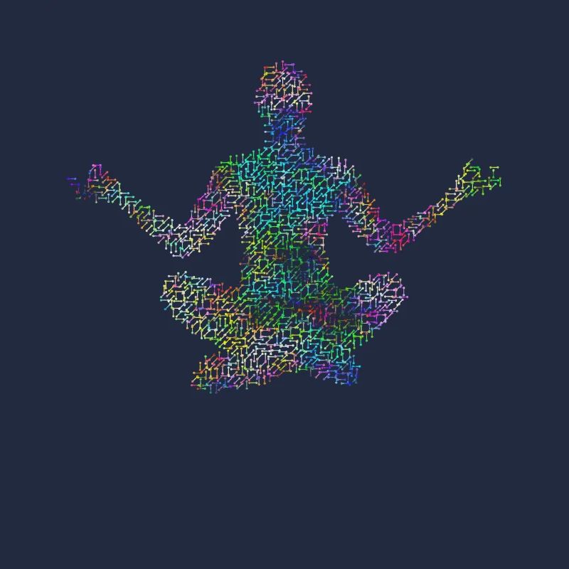 Psychedelic meditation
