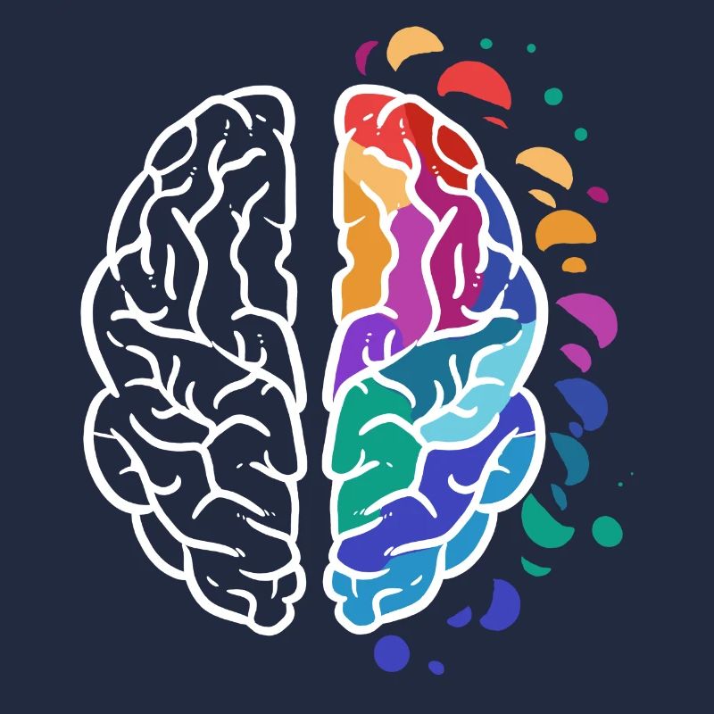 brain