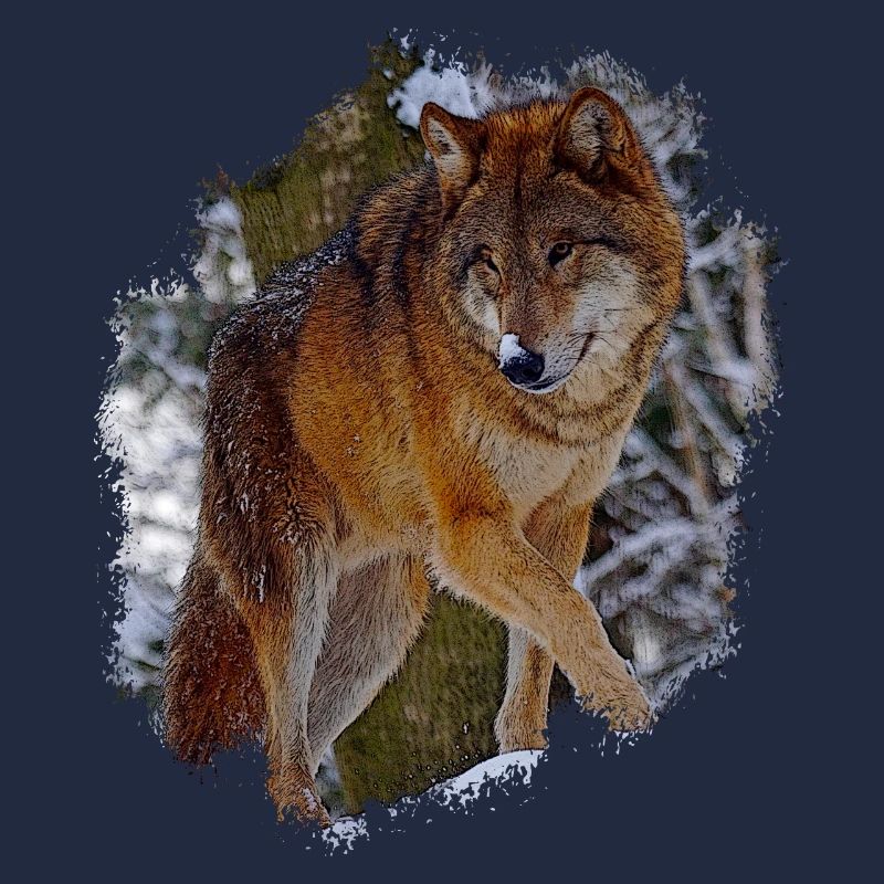 Wolf