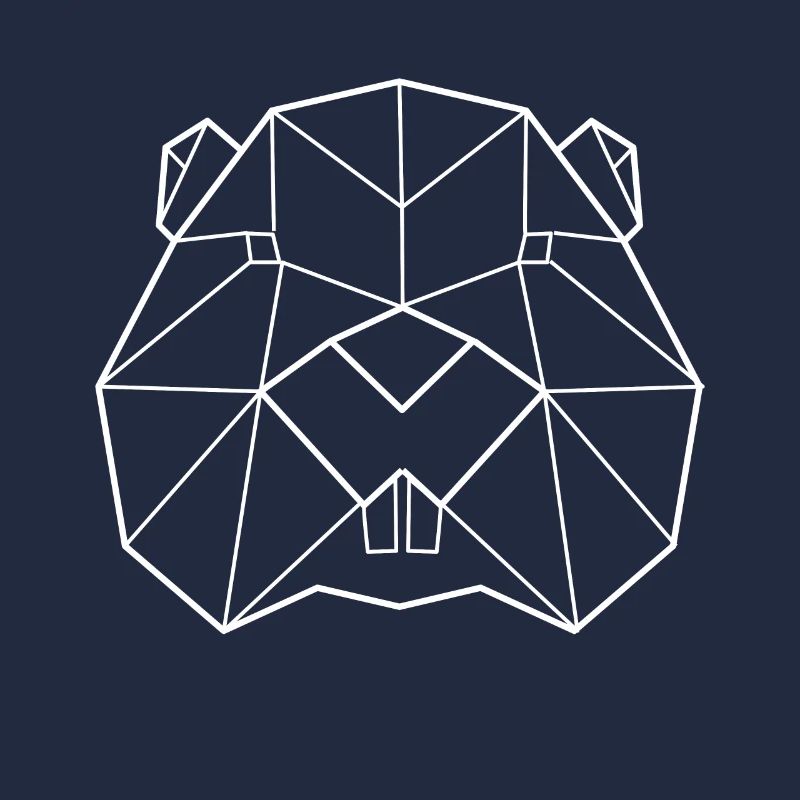 Beaver polygon
