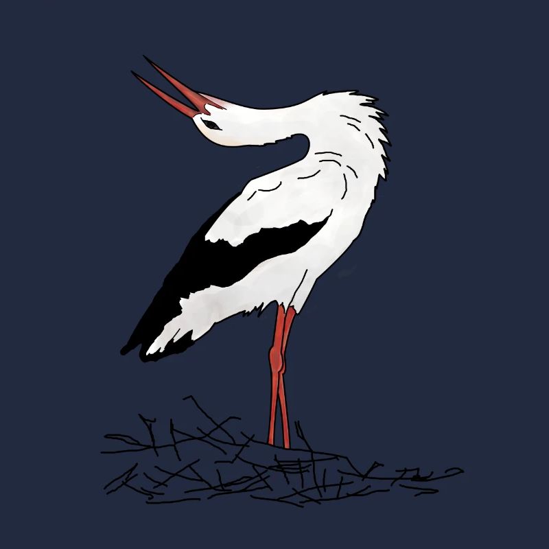 Cigogne