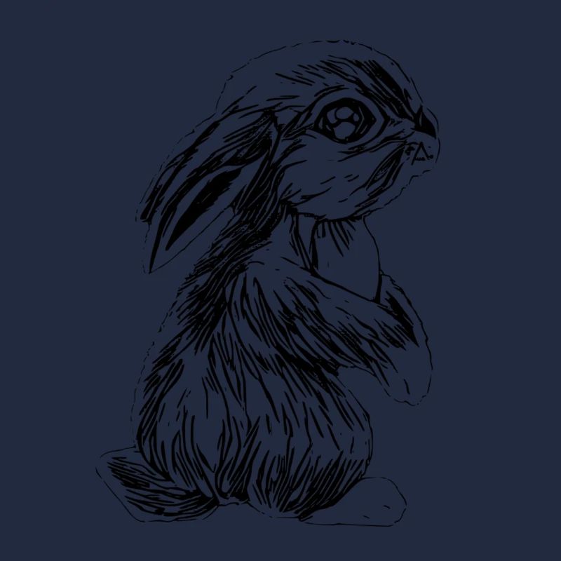 Lapins