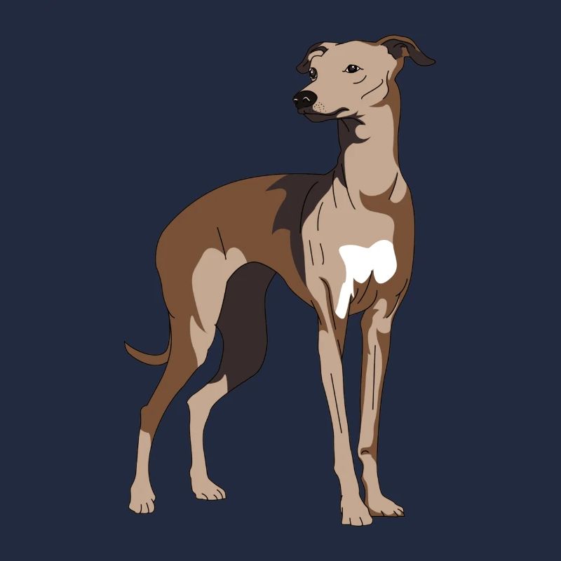Lévrier, galgo, lévriers