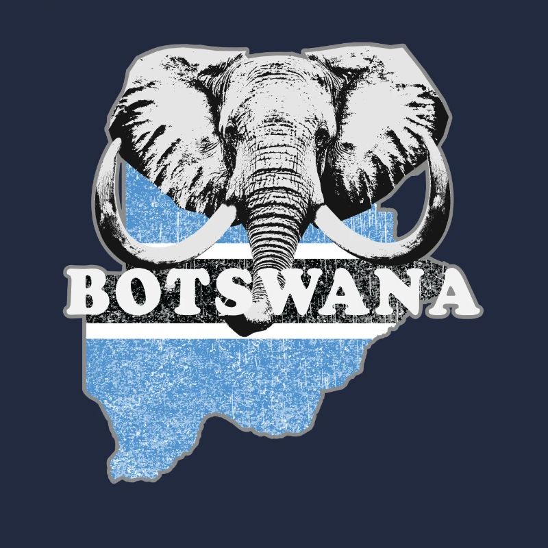 Drapeau du Botswana Afrique Drapeau