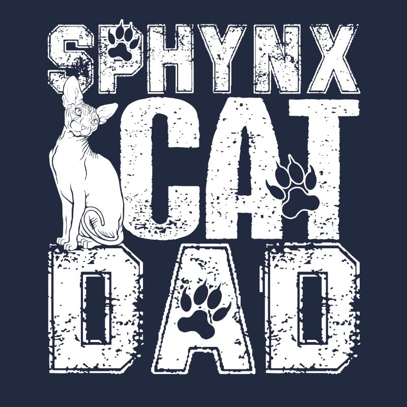 Chat Sphynx Chat Sphynx Papa