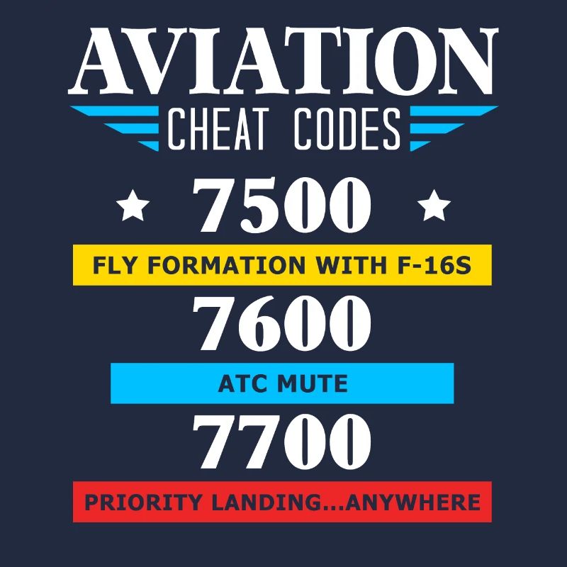 Aviation Cheat Codes gift, Aviation gift,