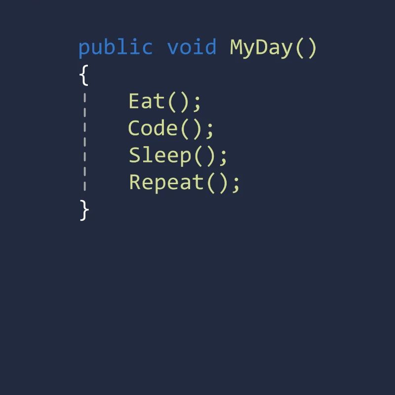 C# Eat Code Sleep Repeat - Programmierer