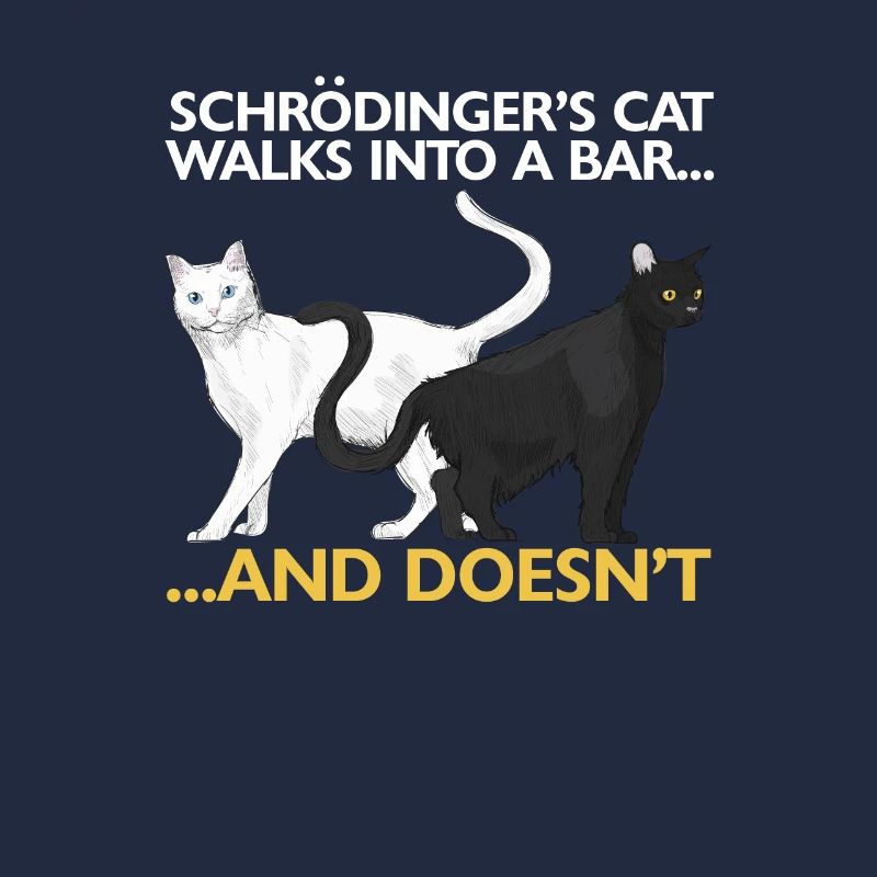 Le chat de Schrödinger drôle de science physique