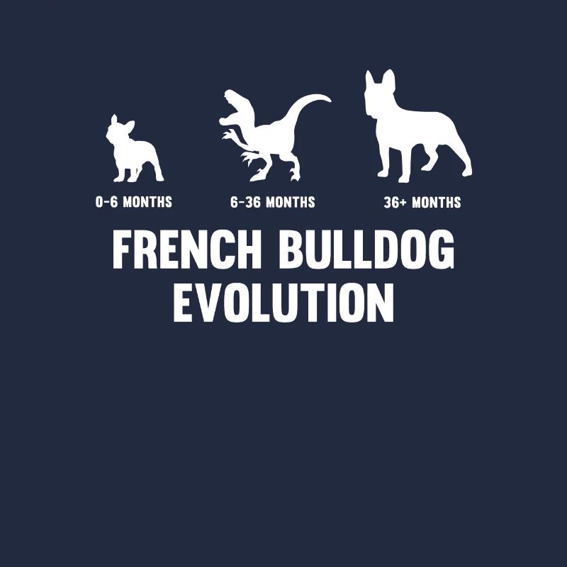 Evolution du bouledogue français pour un