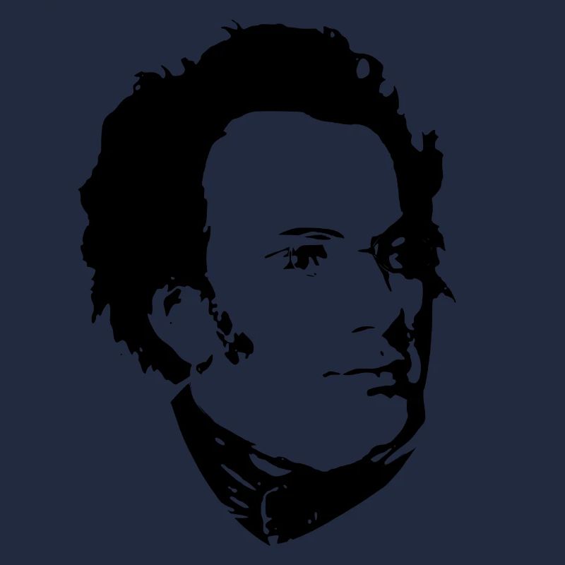 Franz Schubert Cool Propaganda Pop Art