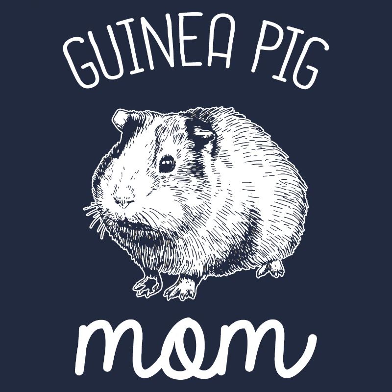 Cochons d'Inde Rosette Cochons d'Inde