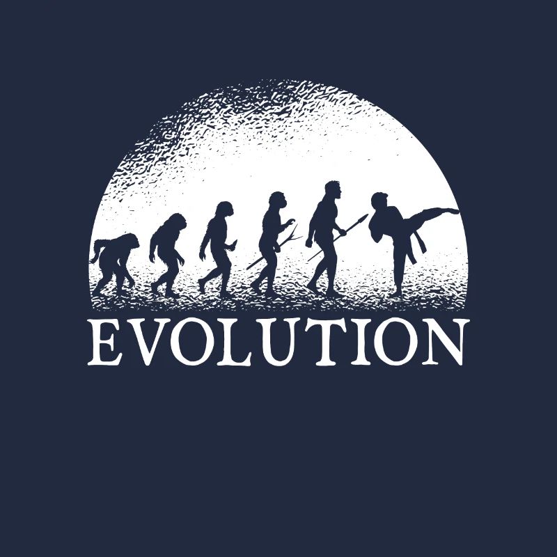 Karate Evolution