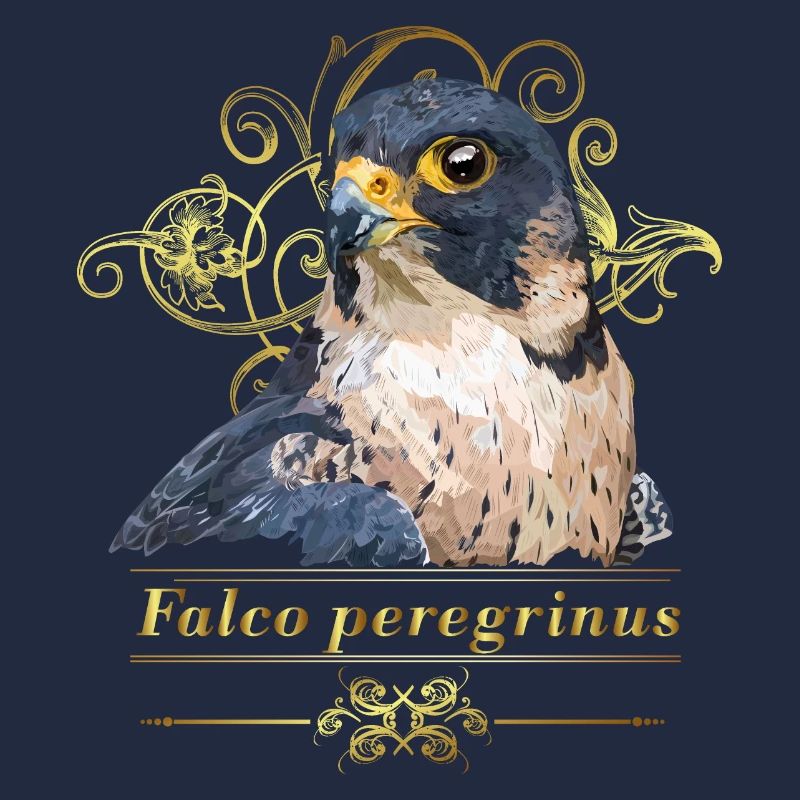 Faucon